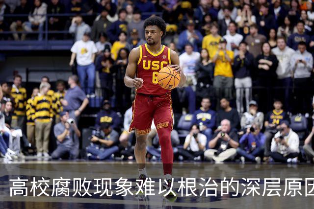 高校腐败现象难以根治的深层原因分析